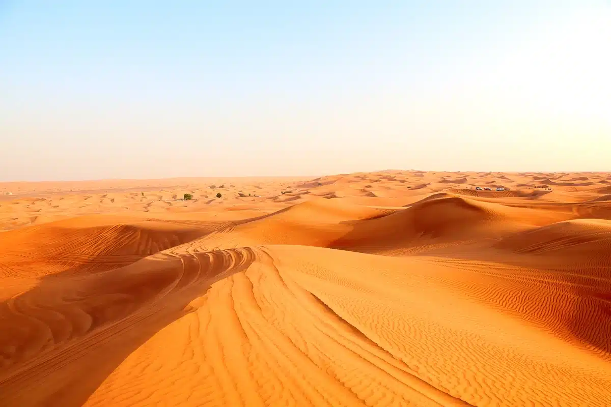 Die Temperatur in der Sahara erreichte 70 °C, Milliarden von Bäumen starben, und nur eine Technologie konnte das Verschwinden des Lebens in der Wüste aufhalten.