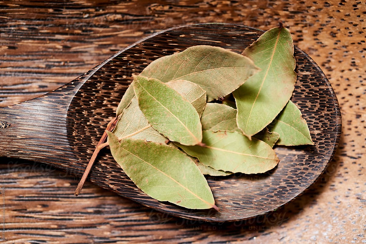Wo sollte man Lorbeerblätter im Haus platzieren, um Glück anzuziehen und Kakerlaken zu vertreiben?