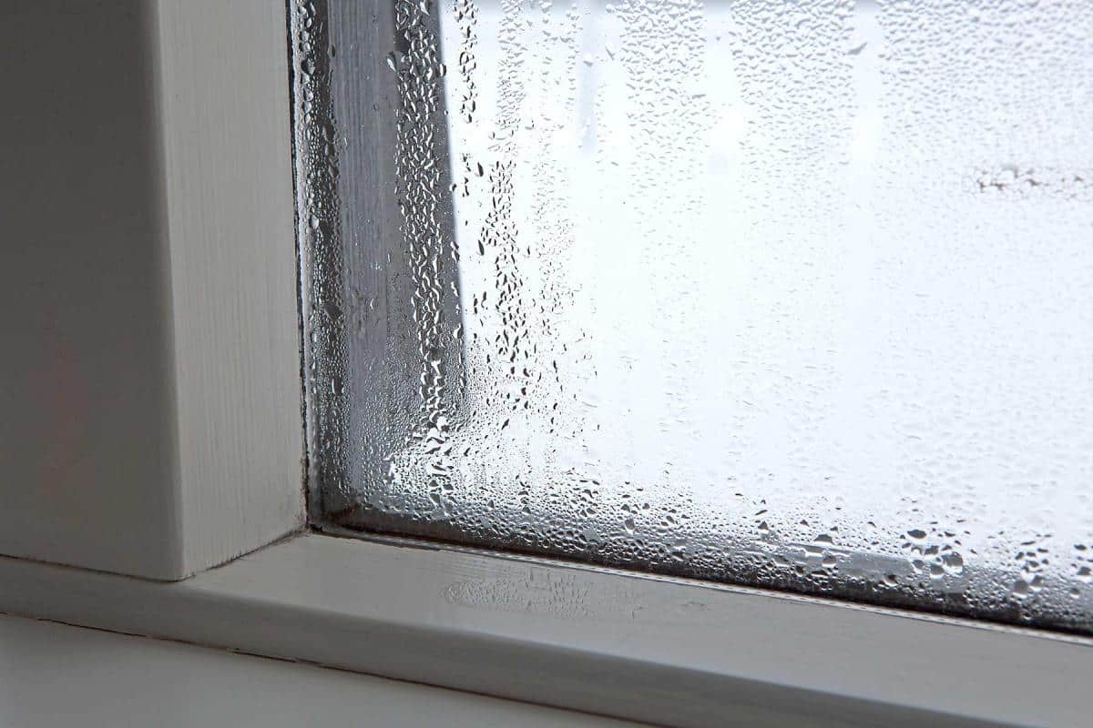 Die Fenster beschlagen nicht und bleiben sauber: Mit diesem Tipp können Sie Kondenswasser für lange Zeit vergessen.
