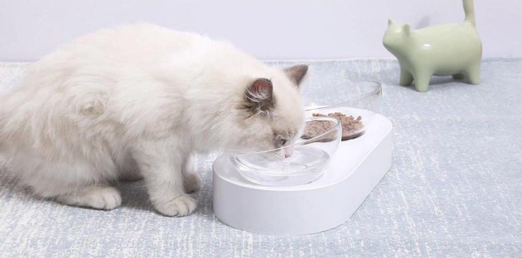 Die meisten Katzen trinken nicht genug aus ihrem Napf, aber ist ein Trinkbrunnen wirklich die Lösung für dieses Problem?