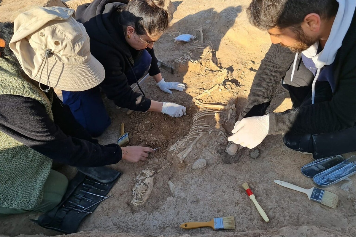 Wissenschaftler von Conicet haben eine neue Dinosaurierart entdeckt, die vor 83 Millionen Jahren lebte