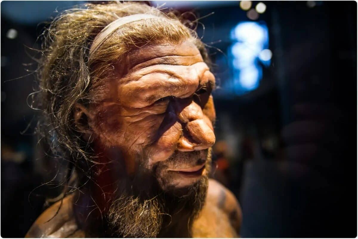 „Religiöse“ Rituale der Neandertaler? Diese Entdeckung könnte revolutionär sein
