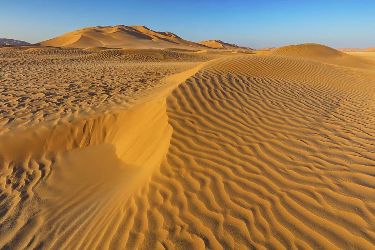 Die Temperatur in der Sahara erreichte 70 °C, Milliarden von Bäumen starben, und nur eine Technologie konnte das Verschwinden des Lebens in der Wüste aufhalten.