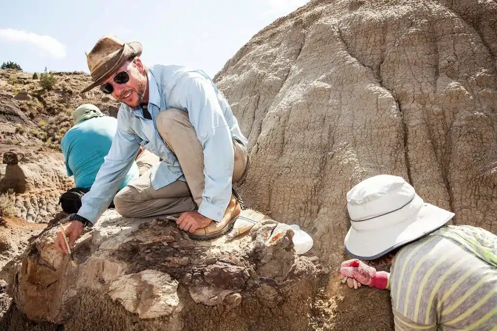 Wissenschaftler von Conicet haben eine neue Dinosaurierart entdeckt, die vor 83 Millionen Jahren lebte