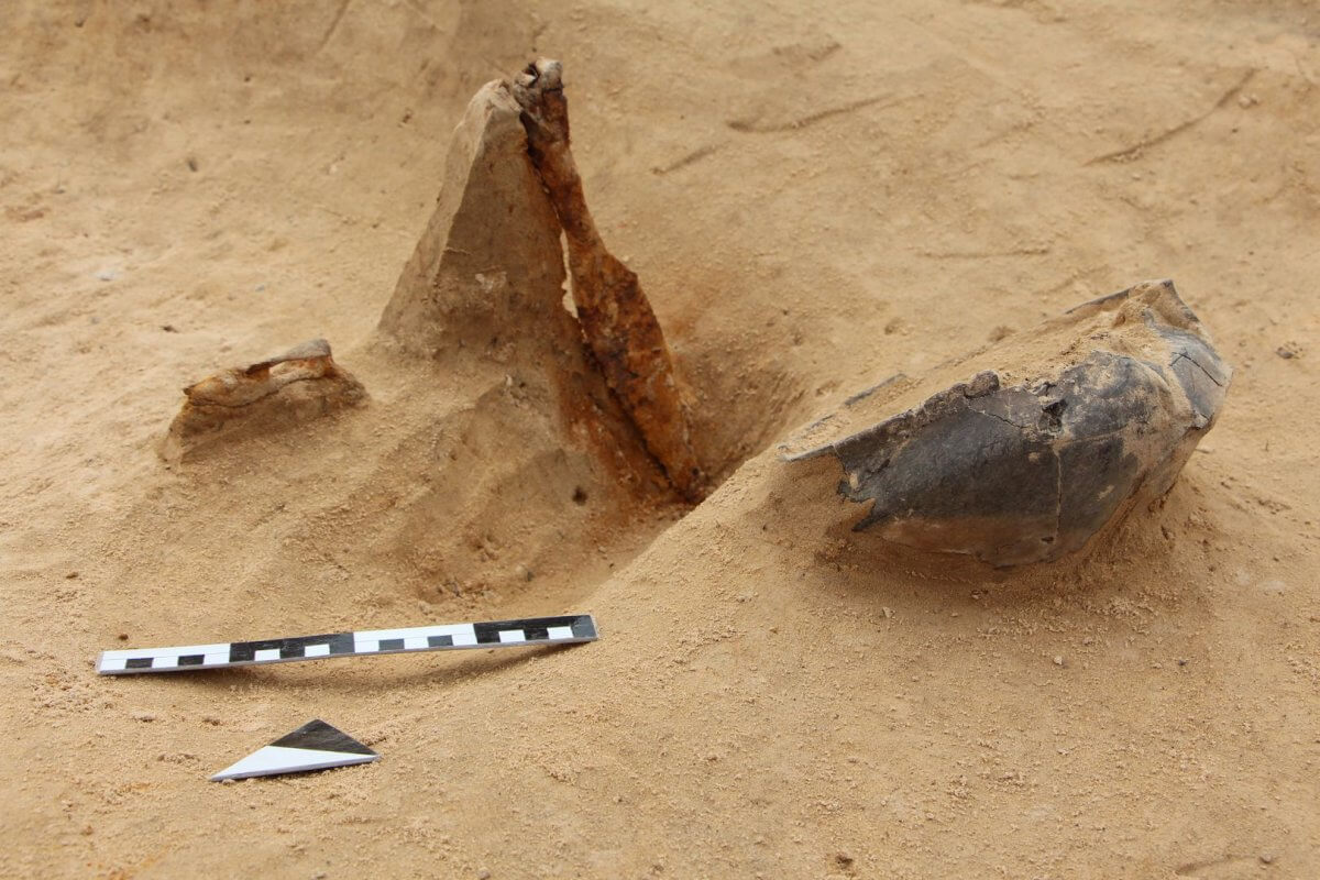 Archäologen haben ein luxuriöses Grab entdeckt: Sie glauben, dass es einem Adligen aus dem Hofstaat von König Midas gehörte