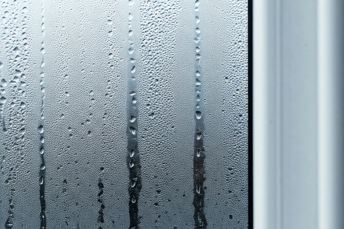 Die Fenster beschlagen nicht und bleiben sauber: Mit diesem Tipp können Sie Kondenswasser für lange Zeit vergessen.